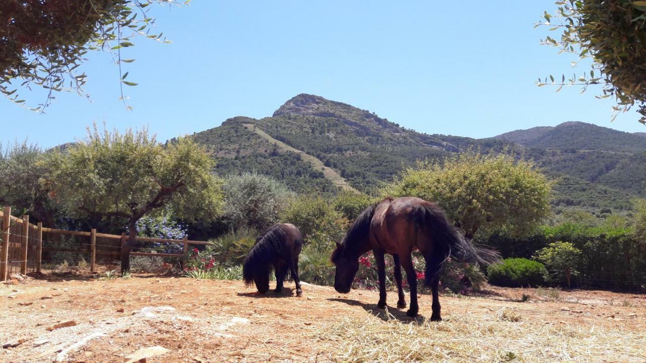 Finca Roca Vista, Adults Only 알하우린엘그란데 외부 사진